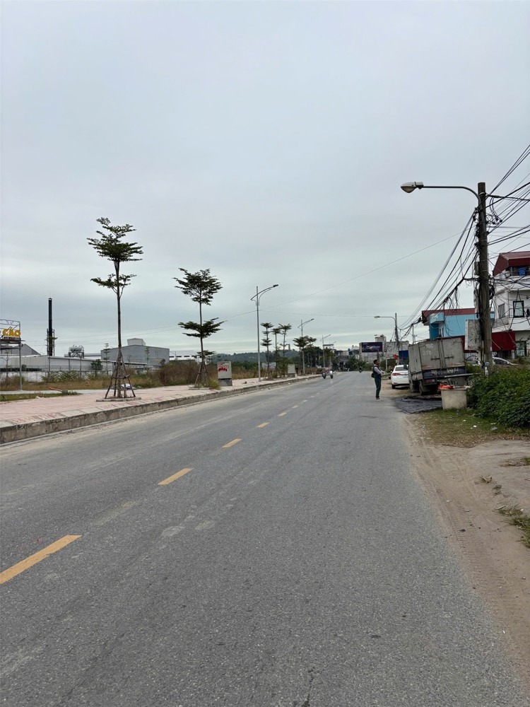 CHÍNH CHỦ BÁN LÔ ĐẤT MẶT ĐƯỜNG 14 CŨ – ĐÔNG PHONG, MINH ĐỨC, ĐỒ SƠN