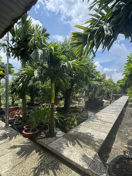 Bán nhà mặt tiền 36x28m giá 25 tỷ Đường 7m Phạm Văn Sáng