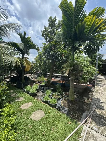 Bán nhà mặt tiền 36x28m giá 25 tỷ Đường 7m Phạm Văn Sáng