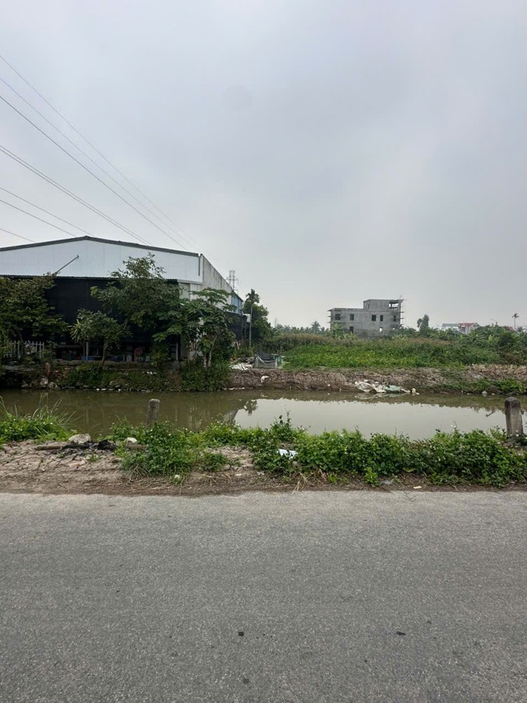 Lô đất 150m² giá hiếm – mặt đường nhựa, sát trục 403 – thanh khoản cao  ZALO 0567 222 555