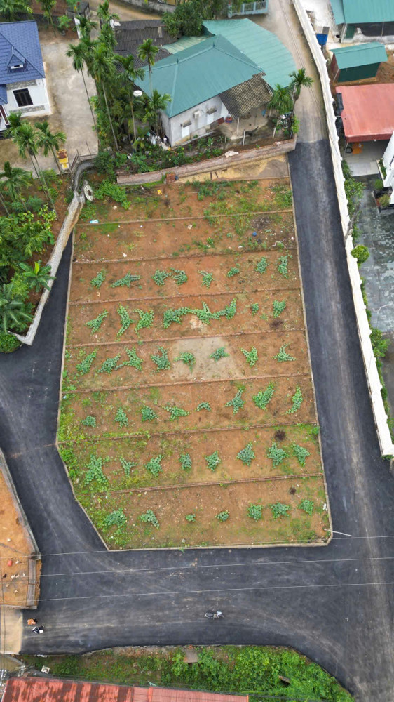 Bán nhanh lô đất Hợp Thành, thành phố Hòa Bình giá 650tr, dt 110m, mt 5m