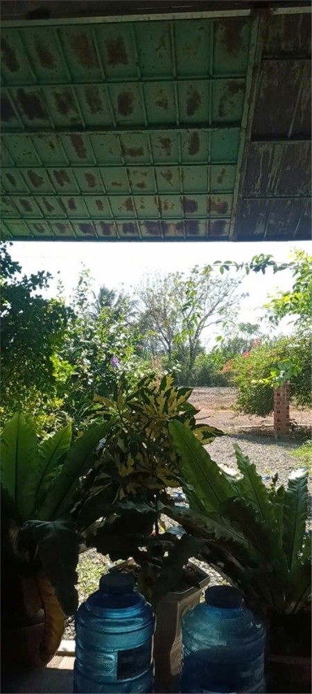 ĐẤT ĐẸP - ĐẦU TƯ SINH LỜI - Chính Chủ Cần Bán Tại  Xã Tân Phú, Tân Châu, Tây Ninh