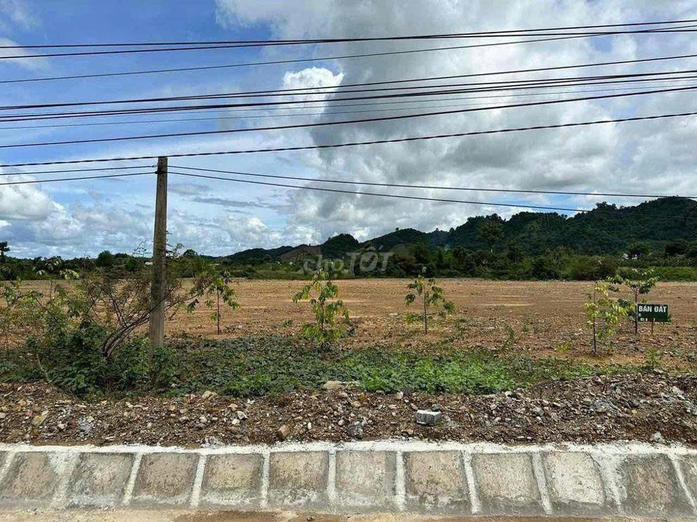 Đất nền vi trí đẹp. thuận lợi cho xây nhà máy, thuê kho trữ sầu riêng