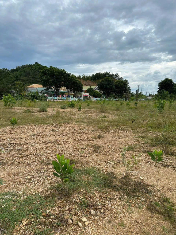 Đất nền vi trí đẹp. thuận lợi cho xây nhà máy, thuê kho trữ sầu riêng