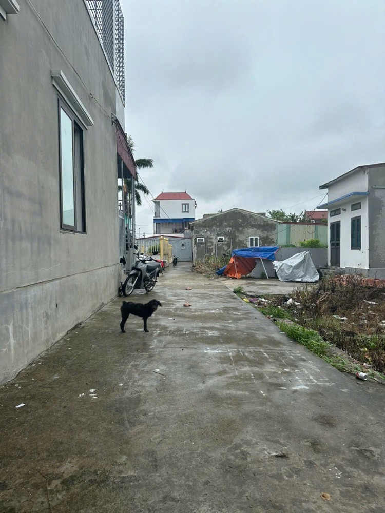 Lô 85m² giá 8xx triệu – Minh Tân Kiến Minh, giá hiếm  ZALO 0567 222 555