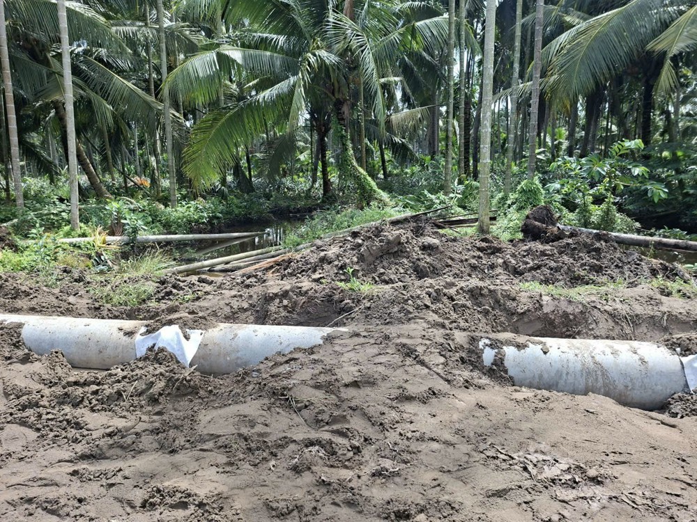 ĐẤT ĐẸP – GIÁ TỐT – CHÍNH CHỦ CẦN BÁN Đất NỀN Xã Bình An Châu Thành, Kiên Giang