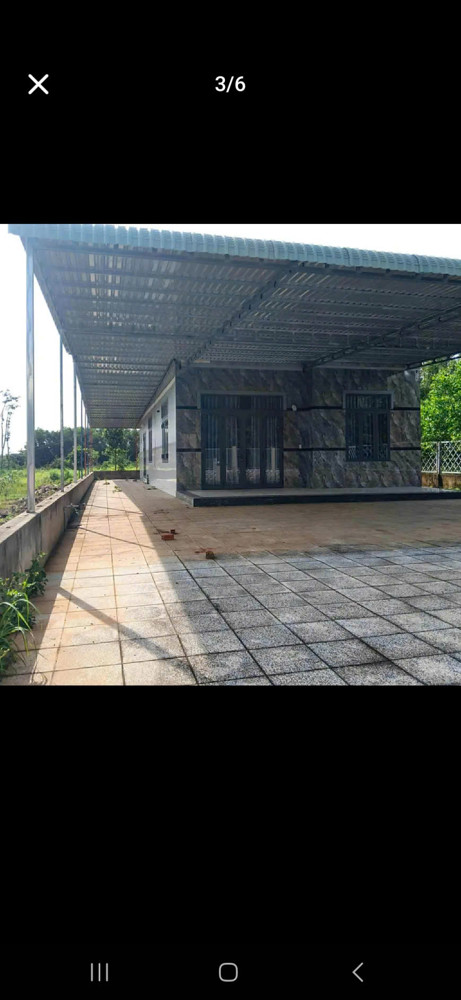 Bán 3600mv 100tc 66m mt nhựa view suối sẳn nhà vườn trái cây