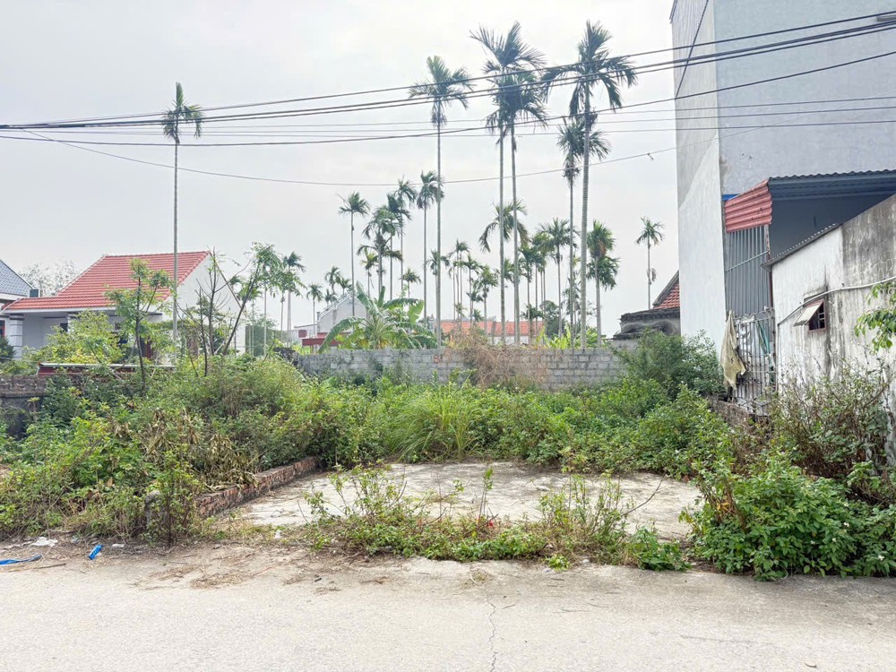 Đất Ngõ 6M Ô Tô Đỗ Cửa – Quý Kim Hợp Đức Giá Chỉ 1,5Xx Tỷ  Zalo 0567 222 555