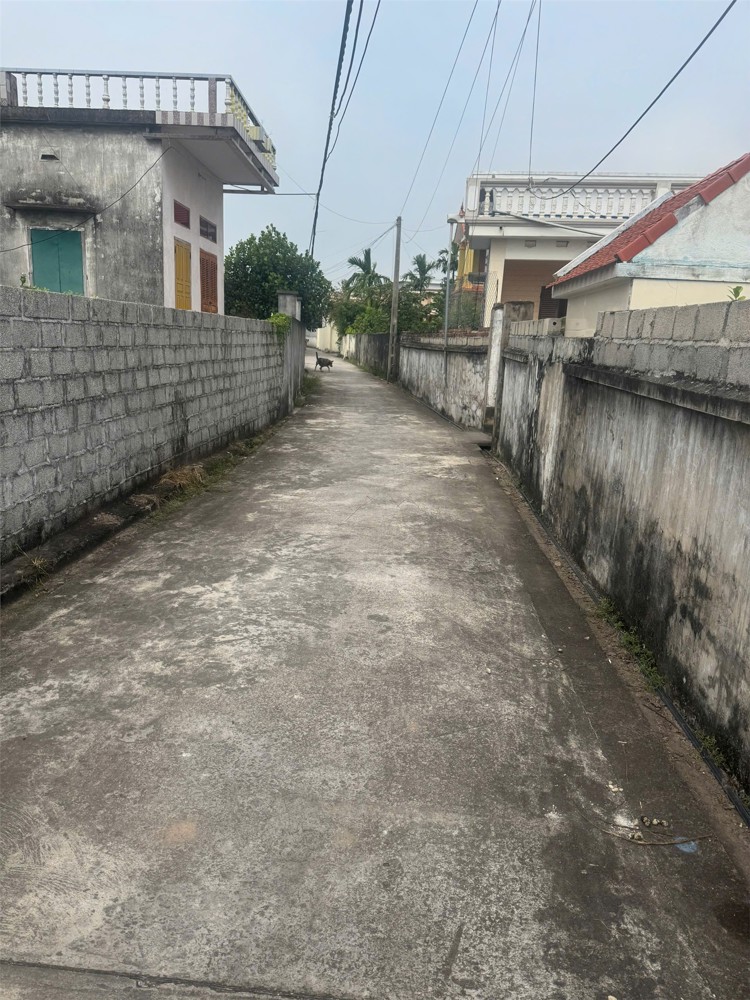 Lô đất lớn 347m² – TDP Đồng Tiến – Bàng La – giá chỉ nhỉnh 10tr/m²  ZALO 0567 222 555