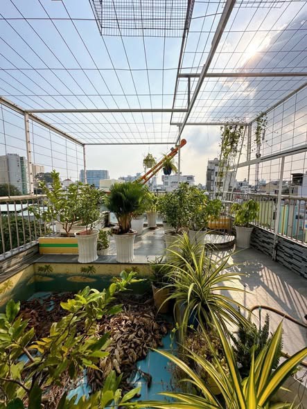 Nhà Đường Lý Chính Thắng Quận 3 Phường Võ Thị Sáu Cũ