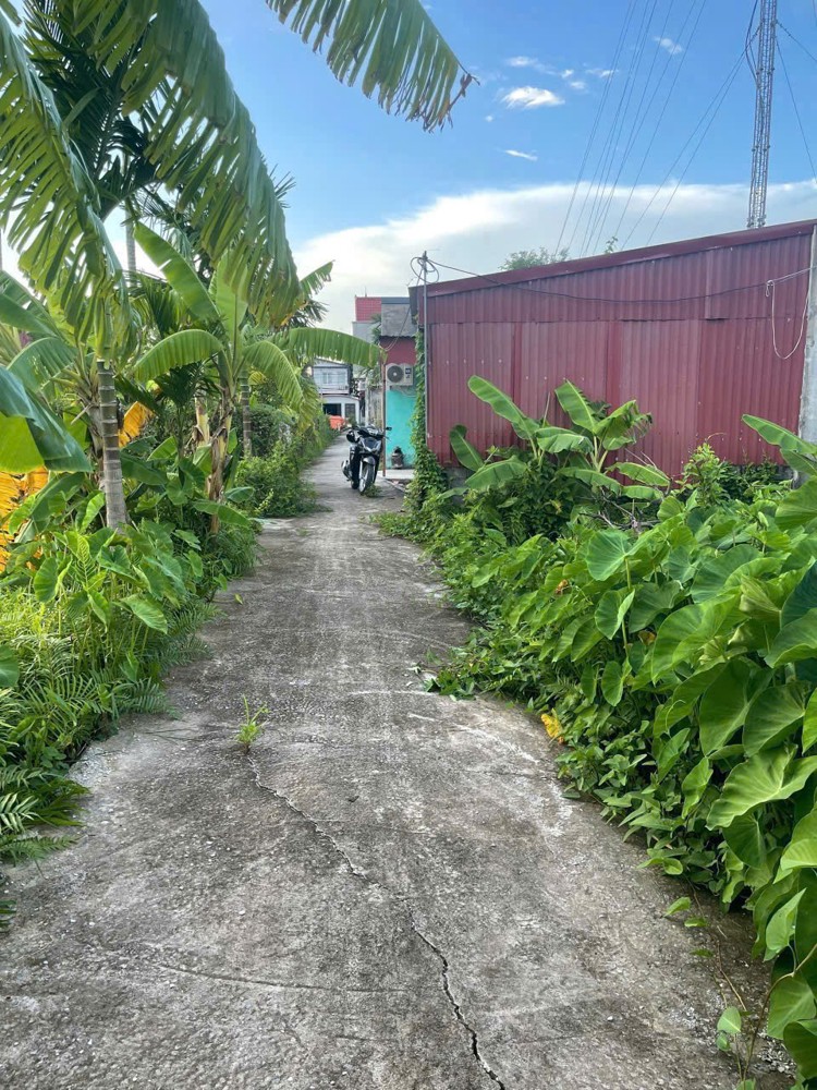 Giá hiếm 6xx triệu – Lô 62.3m² tuyến 2 Bình Minh, Nam Đồ Sơn, đầu tư sinh lời nhanh – ZALO 0567 222