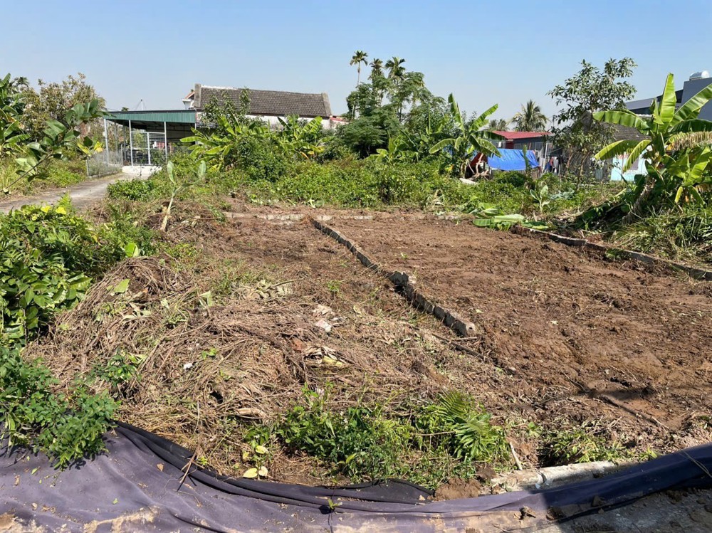 Giá hiếm 8xx triệu – Lô 51.7m² Hoà Nghĩa, ngõ 4m, gần trục 353 – ZALO 0567 222 555