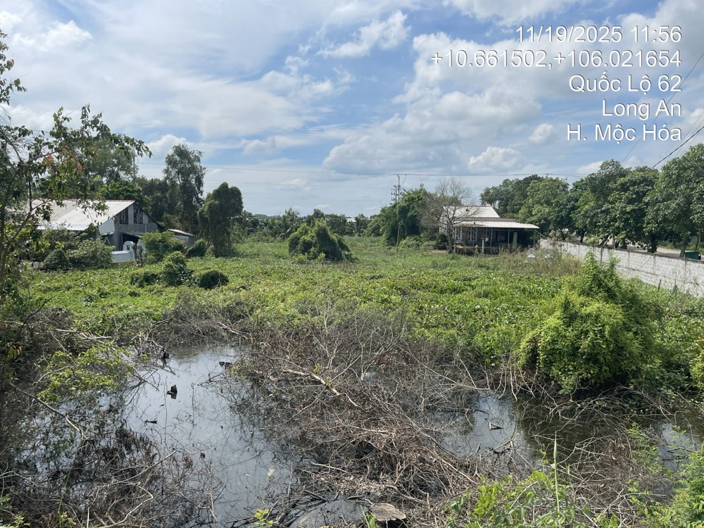 BÁN ĐẤT MẶT TIỀN QL 62, XÃ TÂN LẬP, MỘC HÓA, LONG AN. SỔ ĐỎ CHÍNH CHỦ