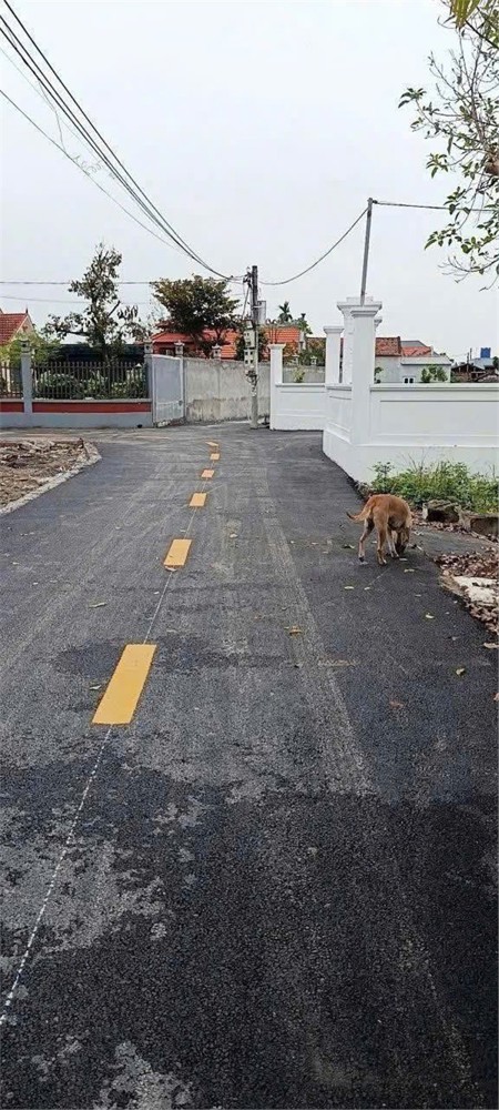 LÔ F0 GIÁ HIẾM – ĐƯỜNG NHỰA 5M – 1,2xx TỶ  ZALO 0567 222 555