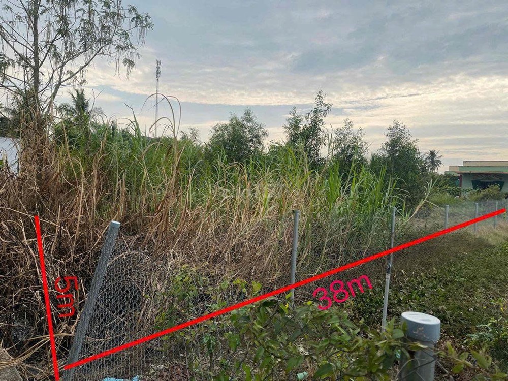 ĐẤT CHÍNH CHỦ - MẶT TIỀN Đường ĐT 832 Xã Nhựt Chánh , Huyện Bến Lức, Long An