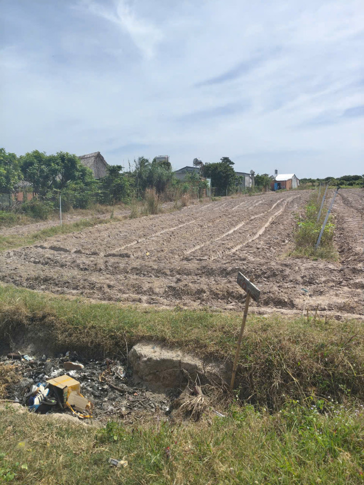 Đất Tây Ninh 1000m2 giá 745 triệu sổ hồng