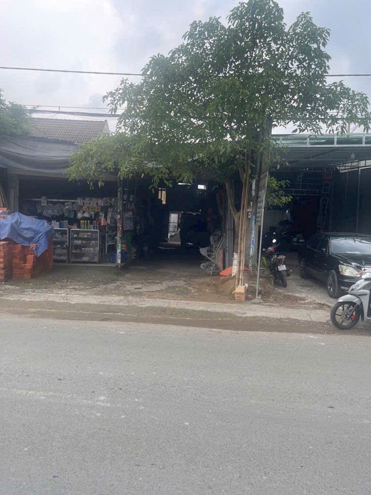 Bán Đất Tặng Nhà Cấp 4 – Mặt Tiền Đường Tam Bình, Tam Phú, Thủ Đức