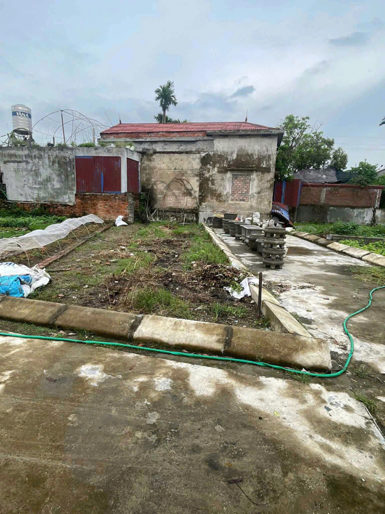 BÁN ĐẤT SỔ ĐỎ – LÔ GÓC ĐƯỜNG 5M TẠI CÂU THƯỢNG, QUANG HƯNG, AN LÃO, HẢI PHÒNG