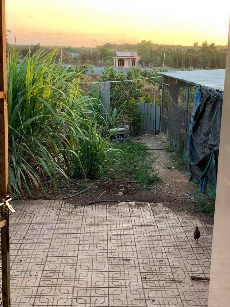 🌈🌈 ĐẤT NHÀ CHÍNH CHỦ gởi bán 
🌈 Cần bán căn nhà vườn trên mặt tiền tỉnh lộ 329 đang làm rộng