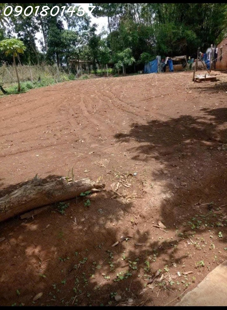 Bán đất 250m2 (100m2đất ở) 580tr ở thành phố PleiKu- Gia Lai