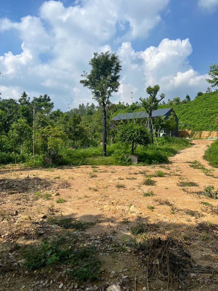 HÀNG HIẾM - Đất Chính Chủ - Mặt Tiền Vị Trí Xã Hồ Sơn, Huyện Tam Đảo, Tỉnh Vĩnh Phúc