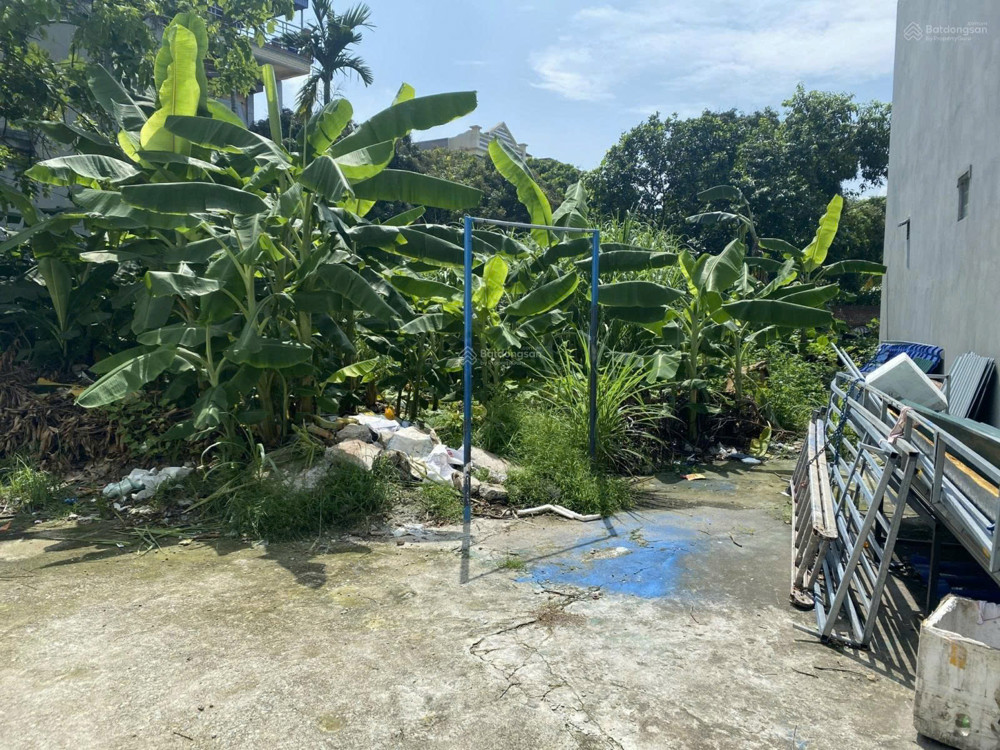 Chính Chủ Bán Đất Tại Ngõ Triệu Quang Phục, Thành Phố Hải Dương