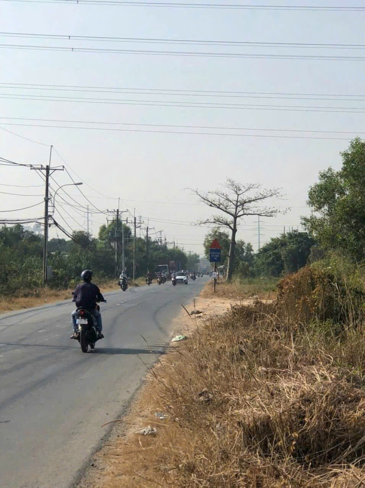 SIÊU PHẨM QUỸ ĐẤT LỚN 8.000m² – 6.000m² THỔ CƯ - MẶT TIỀN TL15, TÂN THẠNH ĐÔNG, CỦ CHI