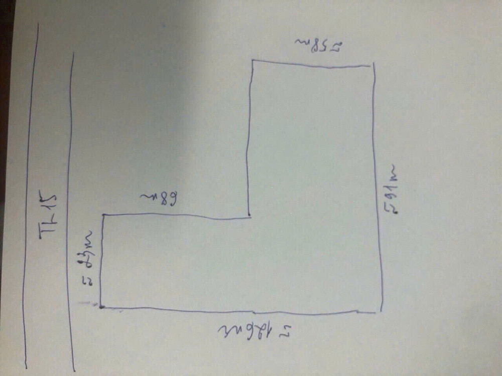 SIÊU PHẨM QUỸ ĐẤT LỚN 8.000m² – 6.000m² THỔ CƯ - MẶT TIỀN TL15, TÂN THẠNH ĐÔNG, CỦ CHI