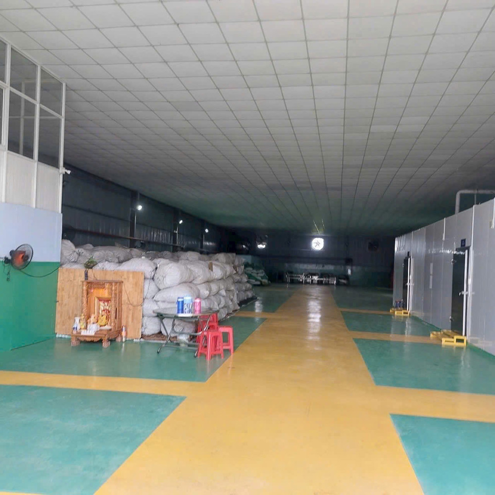 NHÀ XƯỞNG (526M2) MẶT TIỀN ĐÔNG THẠNH – HÓC MÔN GIÁ ĐẦU TƯ