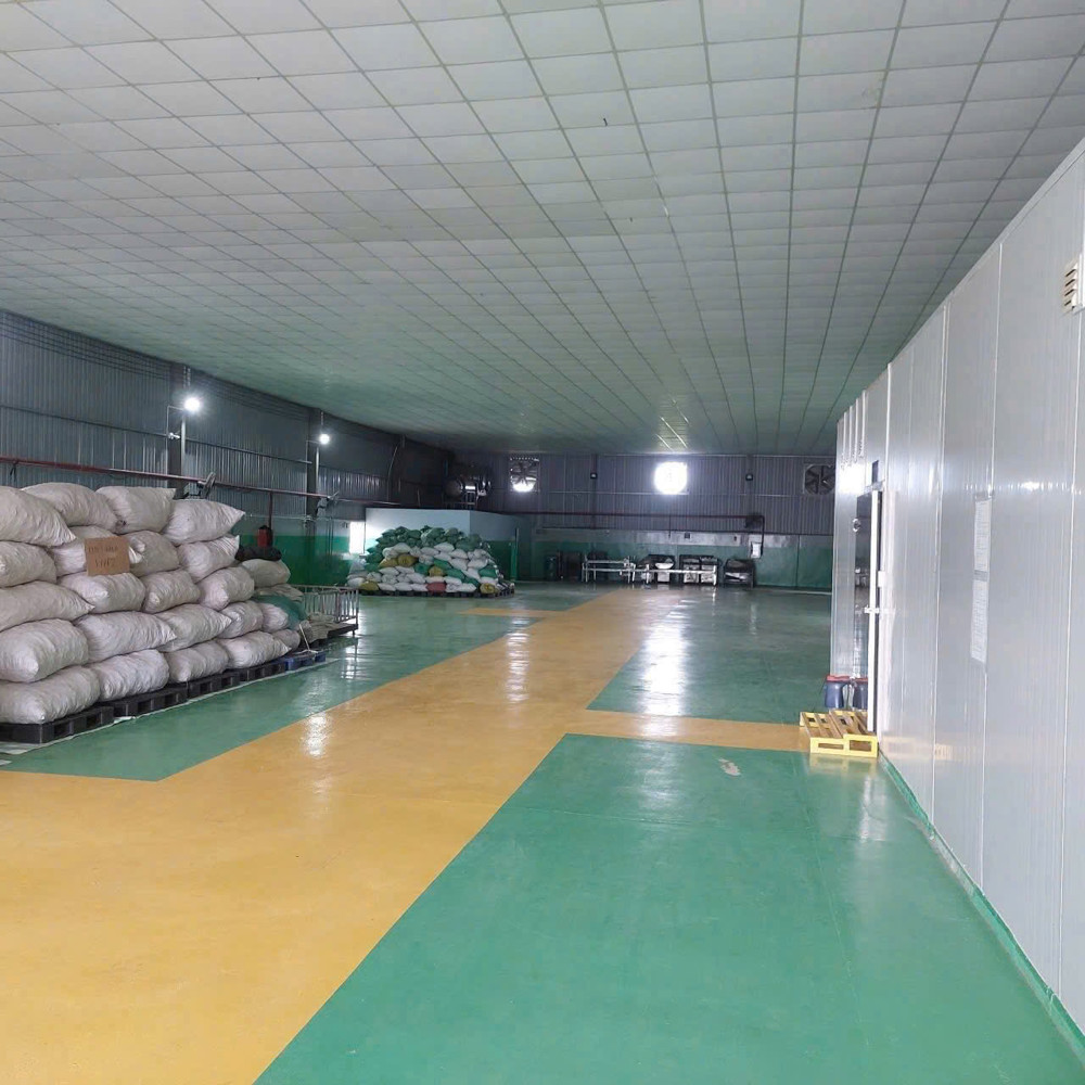 NHÀ XƯỞNG (526M2) MẶT TIỀN ĐÔNG THẠNH – HÓC MÔN GIÁ ĐẦU TƯ