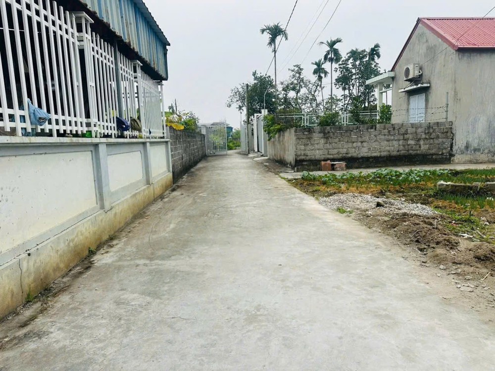 LÔ 154M² GIÁ RẺ HIẾM – NGANG 5M – NGÕ Ô TÔ 3M TẠI KIM ĐỚI 3, HỮU BẰNG  ZALO 0567 222 555