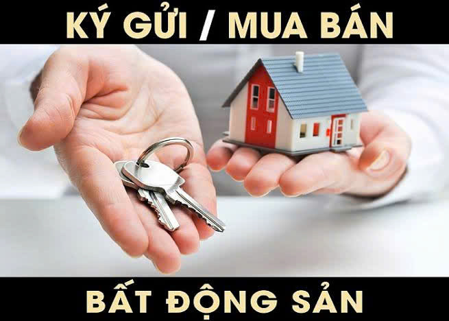 Nhận Môi Giới
Tài Sản Nhà Phố
tại

Thanh Oai

Kết nối
0972 078 667