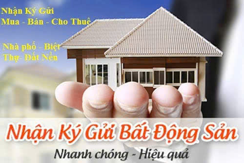 Nhận Môi Giới
Tài Sản Nhà Phố
tại

Thanh Oai

Kết nối
0972 078 667