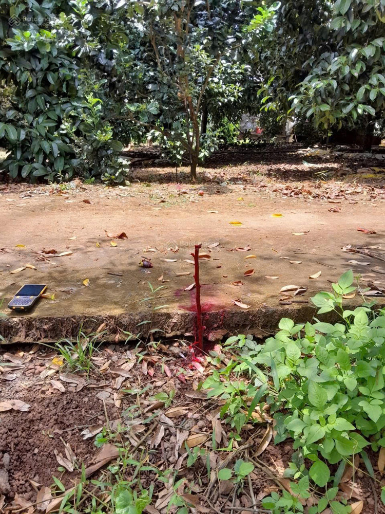 Đất Nền Quy Hoạch Thổ Cư Phù Hợp Phân Lô, Nên Biệt Thự Tại P. Xuân Tân