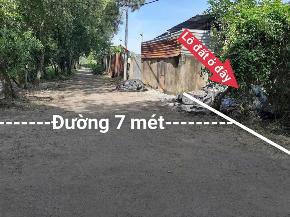 ĐẤT LÚA QUY HOẠCH KDC ĐƯỜNG 7M BÀ ĐIỂM MỚI MT RỘNG – QUỸ ĐẤT KHỦNG CHỈ 12TR/M²