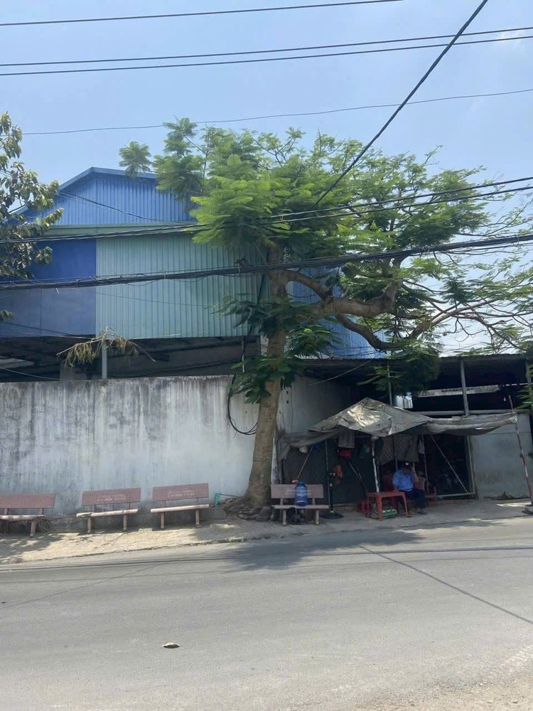 NHÀ XƯỞNG (14x40) MẶT TIỀN 1/ DƯƠNG CÔNG KHI, XUÂN THỚI THƯỢNG, HÓC MÔN!