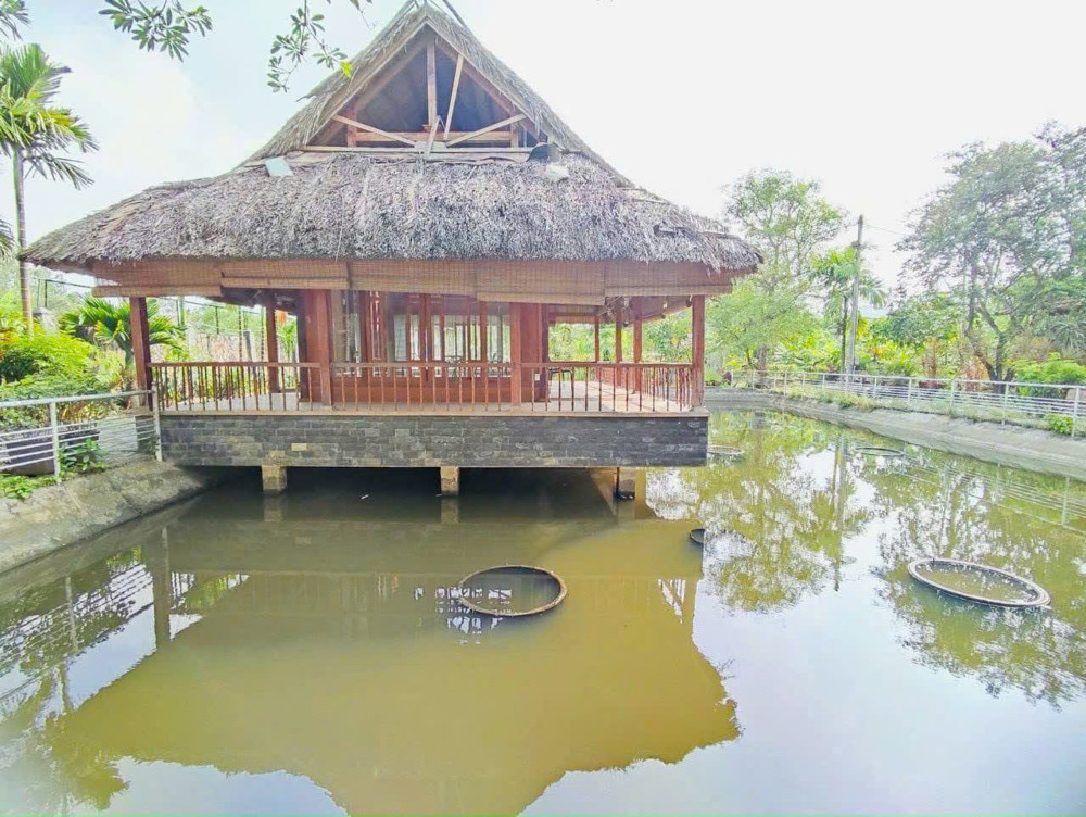 SIÊU PHẨM KHU NGHỈ DƯỠNG MẶT TIỀN ĐƯỜNG THANH NIÊN, XUÂN THỚI SƠN – HÓC MÔN!