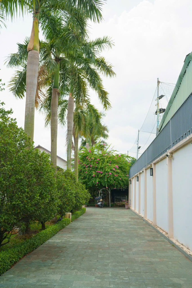 BIỆT THỰ VƯỜN VIP 1.300M² FULL THỔ – HẺM XE HƠI TÔ NGỌC VÂN, THẠNH XUÂN, Q12!