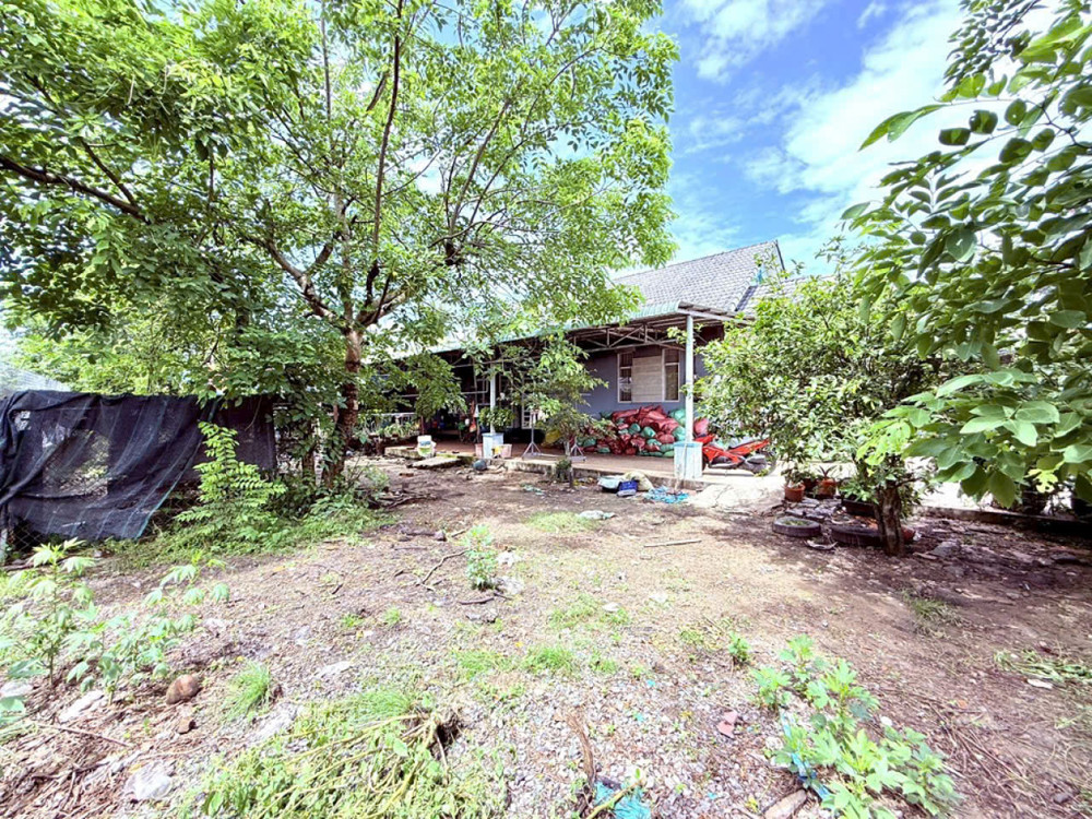 BIỆT THỰ VƯỜN VIP 1.300M² FULL THỔ – HẺM XE HƠI TÔ NGỌC VÂN, THẠNH XUÂN, Q12!