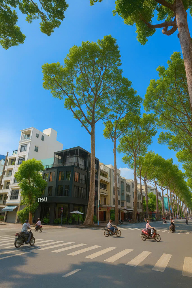 Mặt tiền Nguyễn Tri Phương, Q10 – khu kinh doanh VIP đường 30m – có lề - 4 tầng – Giá 15.28 tỷ