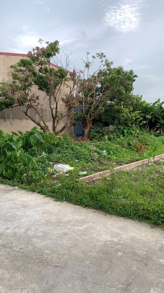 Lô đất 117m² giá tốt – 3 mặt thoáng hiếm tại Minh Tân, sát tỉnh lộ 402 ZALO 0567 222 555