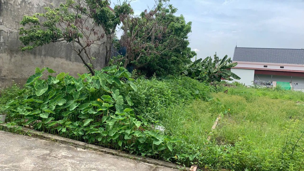 Lô đất 117m² giá tốt – 3 mặt thoáng hiếm tại Minh Tân, sát tỉnh lộ 402 ZALO 0567 222 555