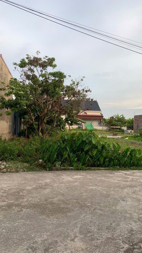 Lô đất 117m² giá tốt – 3 mặt thoáng hiếm tại Minh Tân, sát tỉnh lộ 402 ZALO 0567 222 555