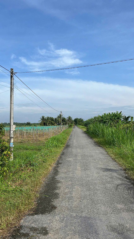 ĐẤT CHÍNH CHỦ - GIÁ TỐT Vị Trí Hòa Lạc C, Lương Hòa A, Châu Thành, Trà Vinh