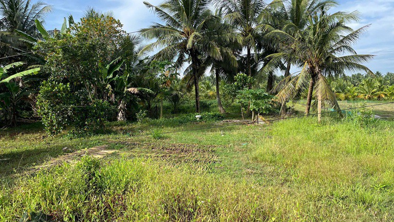 ĐẤT CHÍNH CHỦ - GIÁ TỐT Vị Trí Hòa Lạc C, Lương Hòa A, Châu Thành, Trà Vinh