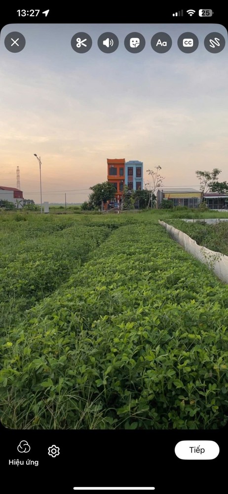 ĐẤT CHÍNH CHỦ - GIÁ TỐT Thôn Lai Ổn, Xã An Quý, Huyện Quỳnh Phụ, Tỉnh Thái Bình cũ