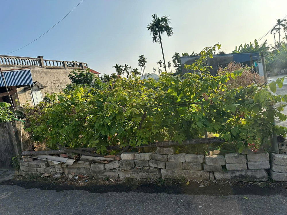 Lô góc 75m² giá hiếm tại Tam Kiệt – sát trung tâm Kiến Thụy, thanh khoản cao ZALO 0567 222 555