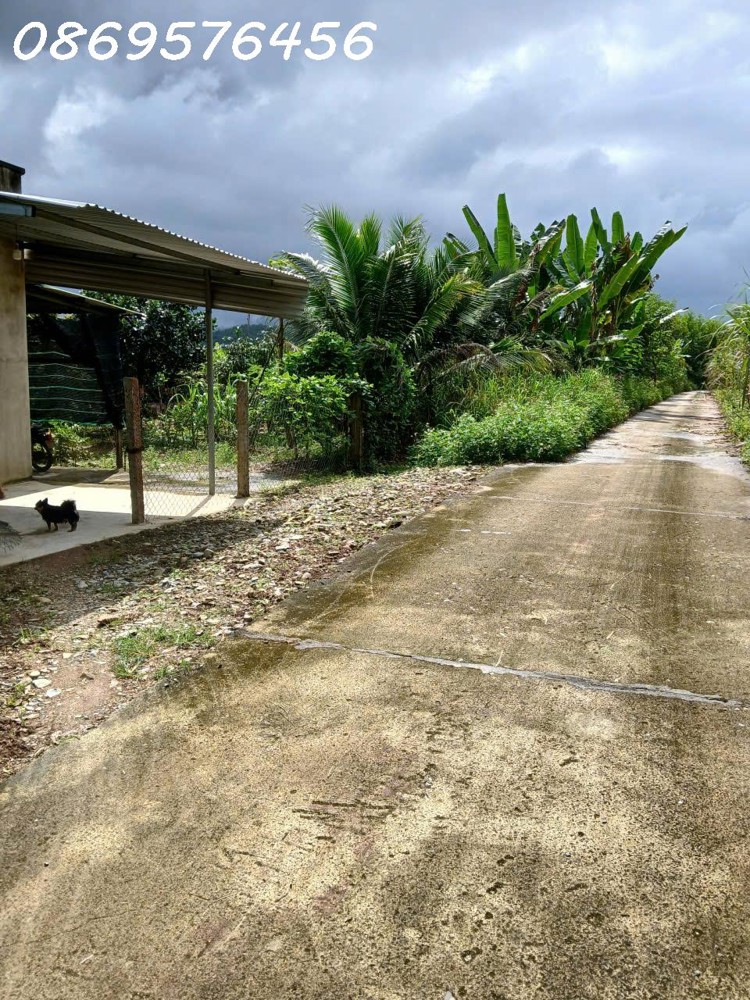 ĐẤT VƯỜN CẦN BÁN TẠI KHÁNH HOÀ