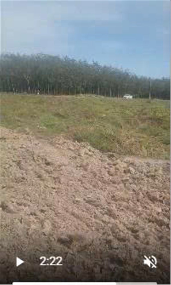 ĐẤT CHÍNH CHỦ - GIÁ TỐT Tại Xã Minh Tân, Dầu Tiếng, Bình Dương NAY Xã Long Hòa, TP Hồ Chí Minh