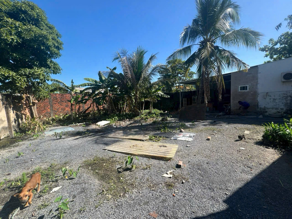 SIÊU HIẾM – KHO XƯỞNG HÓC MÔN 533m²  ĐƯỜNG CONTAINER – GIÁ CHỈ 18.5 TỶ!